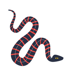 Striped Snake Reptile