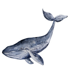 Watercolor Blue Whale