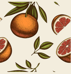 Seamless pattern with oranges Royalty Free Vector Image