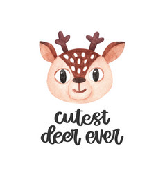 Cutest Deer