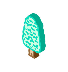 Kauri Tree Jungle Amazon Isometric Icon