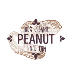 100 Percent Organic Peanut Shelled And Cracked