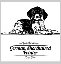 German Shorthaired Pointer Dog