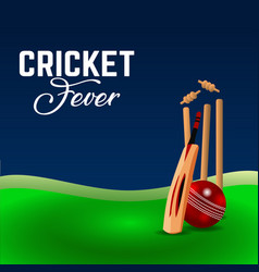 Cricket Fever Banner Design