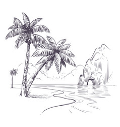 Palm Tree Landscape Sketch Tropical Palms Ocean