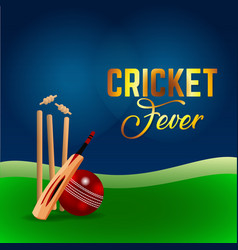 Cricket Fever Banner Design