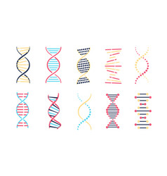 Dna Icons Color Set