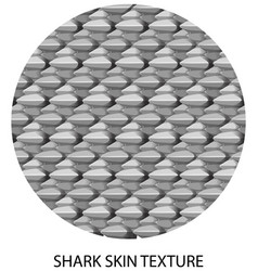 Shark Skin Texture With Text