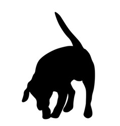 Bull Terrier Dog Black Silhouette On White