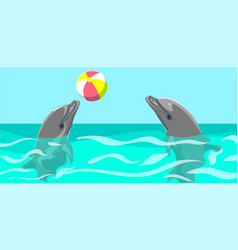 Dolphins Playing With Ball Perform Trick