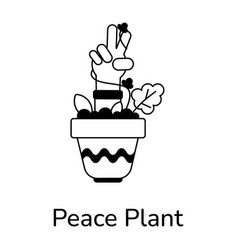 Peace Plant