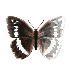 Butterfly Brintesia Circe