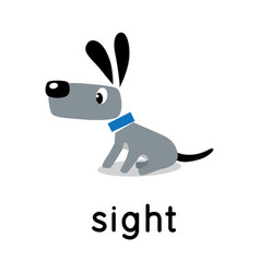 Dog Stands And Looks Five Senses Sight