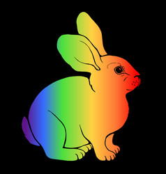 Rainbow Rabbit Graphic For Lgbtq