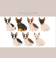 Teddy Roosevelt Terrier 6eps