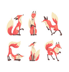 Fox In Different Poses Set Red And White Wild