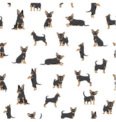 Chihuahua Seamless Pattern Dog Healthy Silhouette