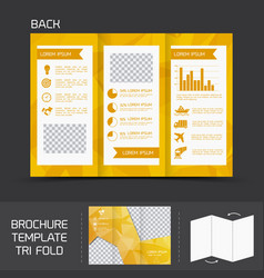 Brochure Template Tri Fold