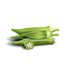 Fresh Young Okra Isolated On White Background