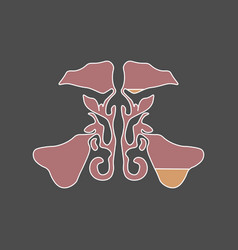 Flat Style Maxillary Sinus Sinusitis Sinus