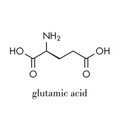 Glutamic Acid L-glutamic Acid Glu E Amino Acid