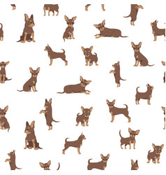 Chihuahua Seamless Pattern Dog Healthy Silhouette