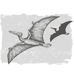 Dinosaur Pterodactylus Grafic Hand Drawn