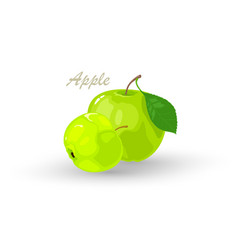 Fresh Green Apple And Segment It Healthy