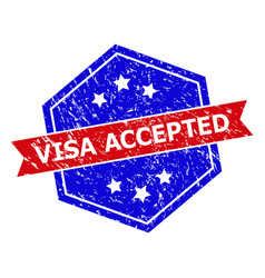 Hexagonal Bicolor Visa Accepted Watermark