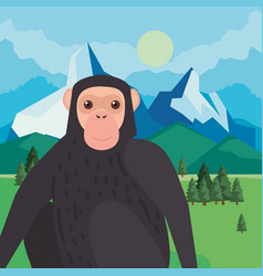 Bonobo Monkey And Mountains