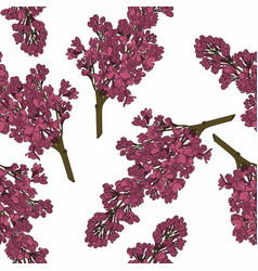 Plain Floral Drawing Blooming Lilac Flowers