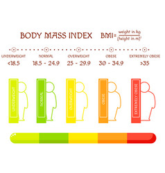 Bmi Concept Body Shapes From Underweight