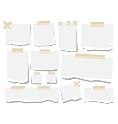 Blank Paper Torn Page Notes Office Notepaper