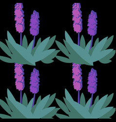 Hyacinth Flowers Seamless Pattern On Black