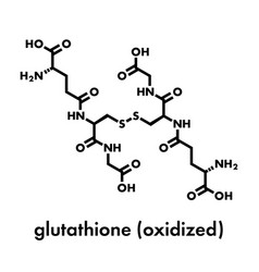 Glutathione Oxidized Gssg Molecule