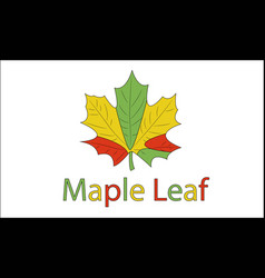 One Maple Autumn Leaf