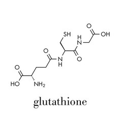 Glutathione Reduced Gsh Endogenous