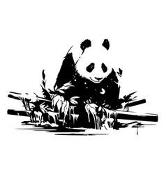 Panda Bear Sitting On Bamboo And Eating