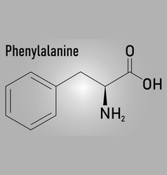 Phenylalanine Molecule Skeletal Formula