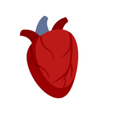 Cardiac Human Heart Icon Flat Isolated