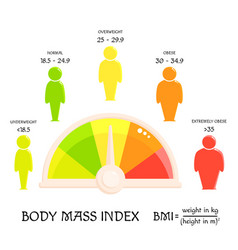 Bmi Concept Body Shapes From Underweight