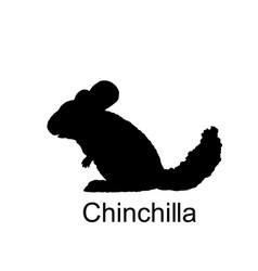 Chinchilla Silhouette Isolated