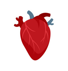 Cardiology Human Heart Icon Flat Isolated