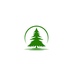 Pine Logo Tree Symbol