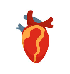 Anatomy Human Heart Icon Flat Isolated