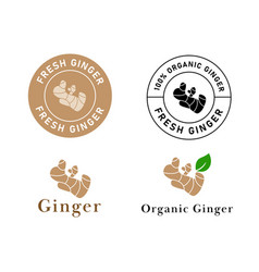 Ginger Label Stamp Of Organic Spices Circle Brown