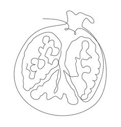 Pomegranate Outline Isolated