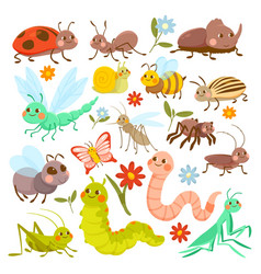 Set Of Insects