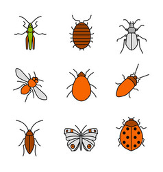 Insects Color Icons Set