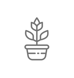 Flower In A Pot Plant In Ceramic Dishes Line Icon